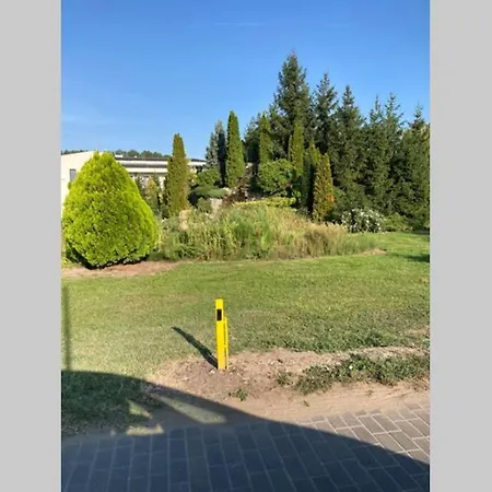 Exkluziv * Debrecen